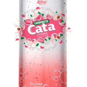 500ml Carbonated  Lychee Flavor Drink